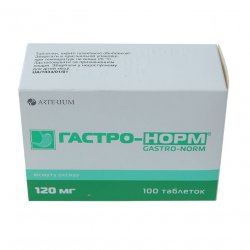 Гастро-норм таблетки N100 в Якутске и области фото