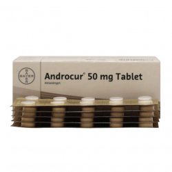 Андрокур (Ципротерон) таблетки 50мг №50 в Якутске и области фото