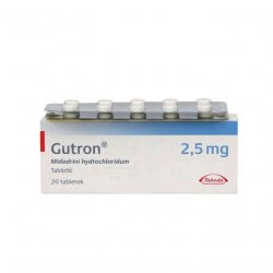 Гутрон таблетки 2,5 мг. №20 в Якутске и области фото
